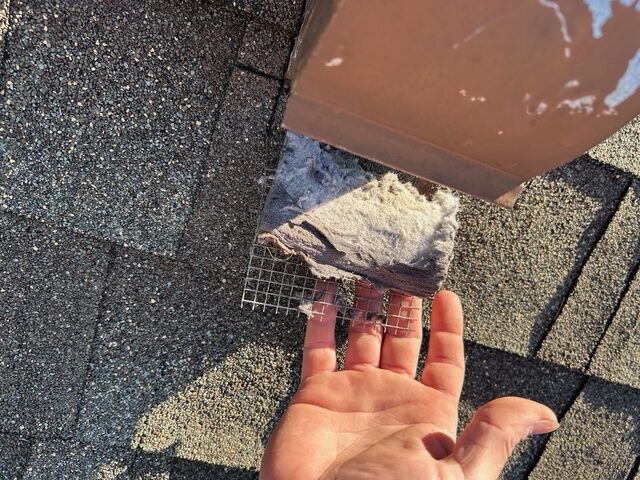 A,warm,and,inviting,winter,scene,featuring,a,roaring,fire